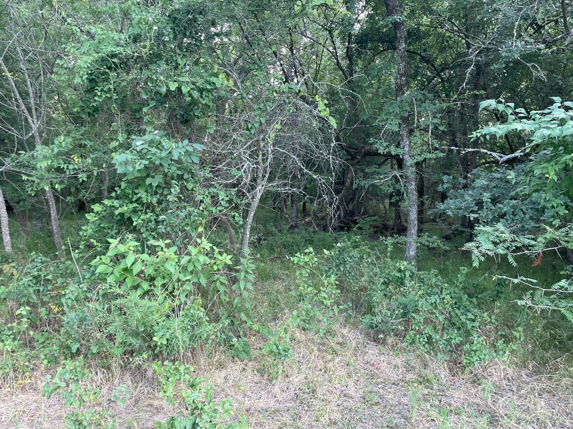 35.13 acres in Fannin County - photo 11