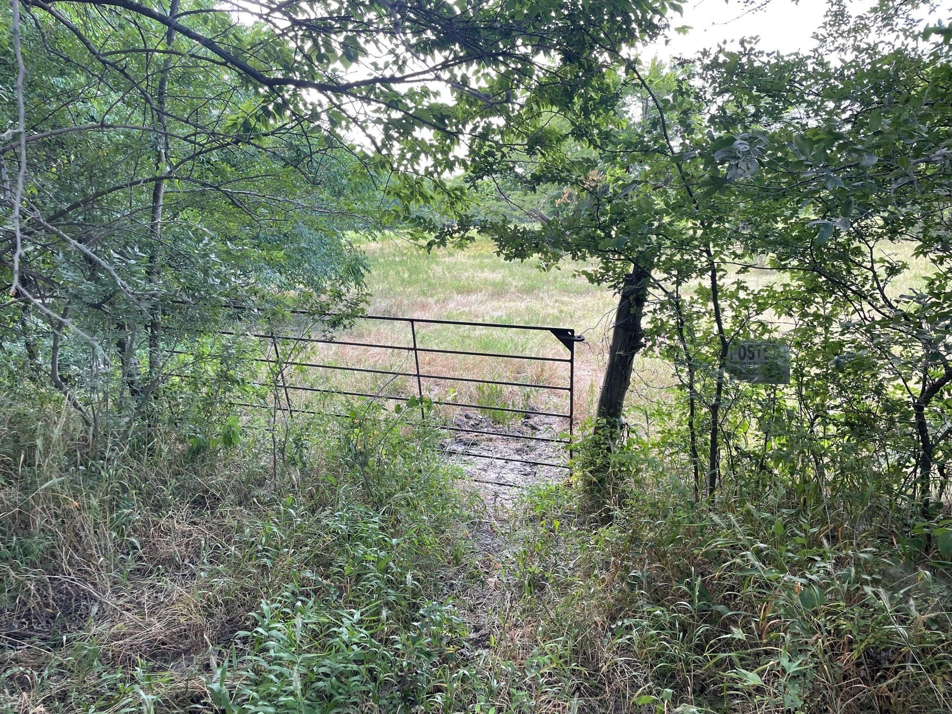 35.13 acres in Fannin County - photo 16