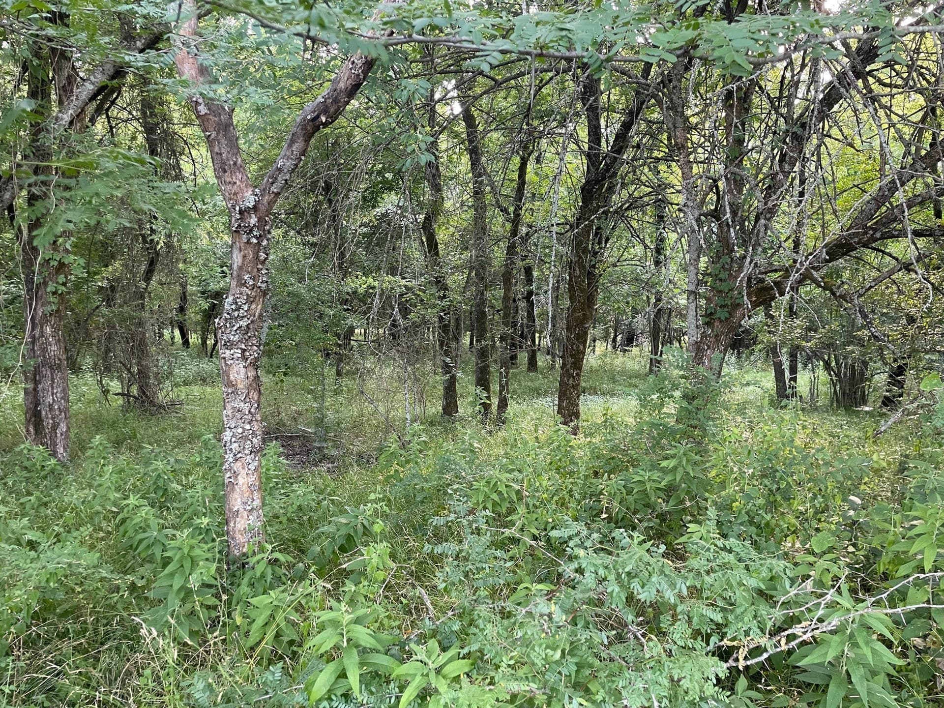 35.13 acres in Fannin County - photo 7