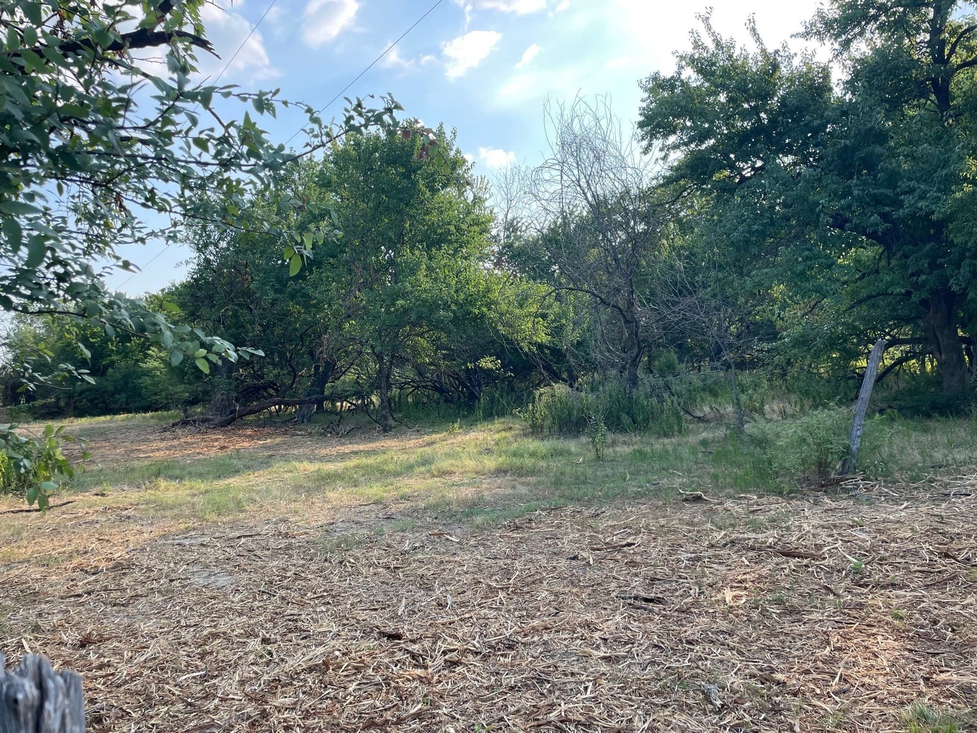 35.13 acres in Fannin County - photo 8