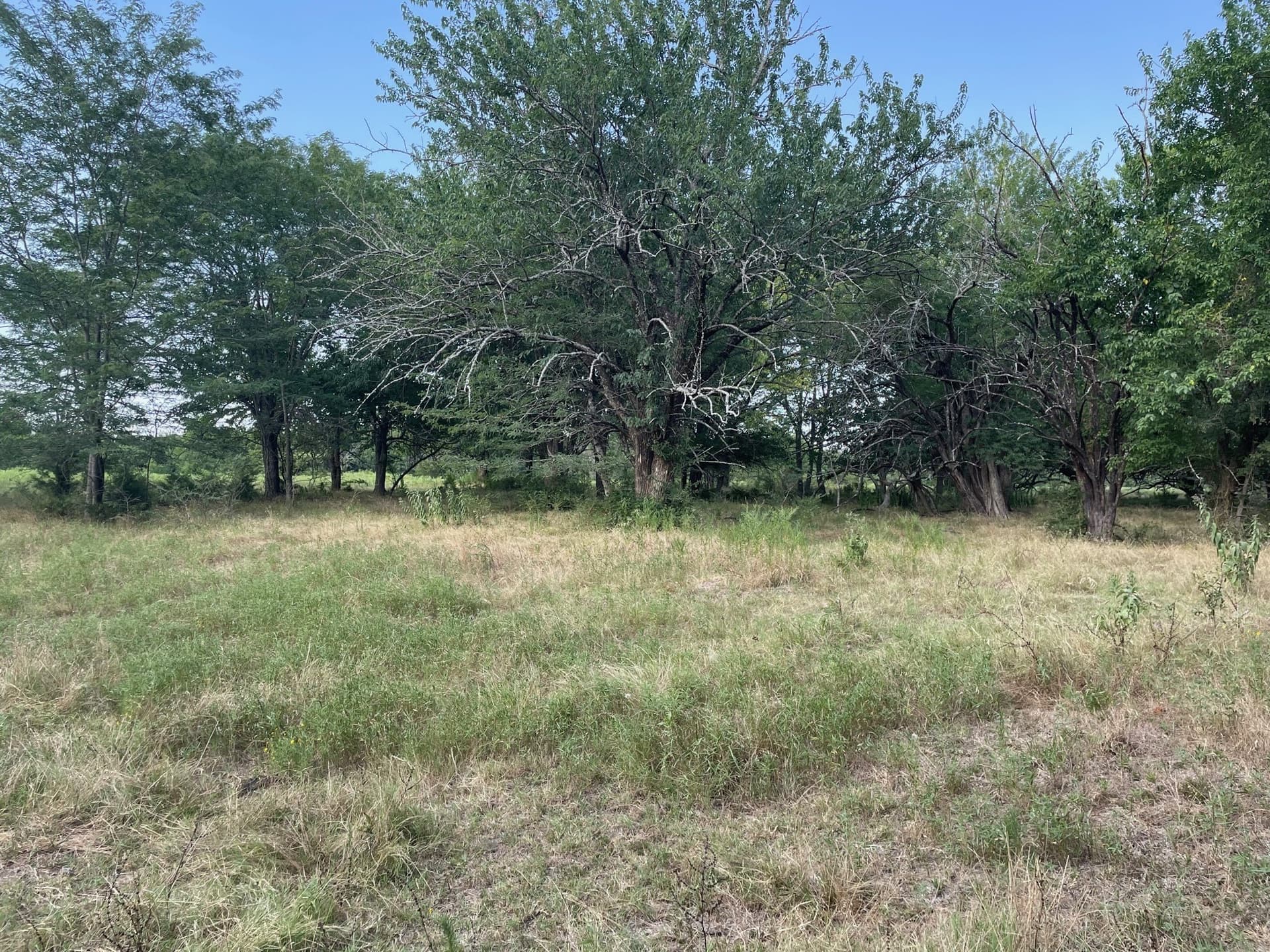 35.13 acres in Fannin County - photo 15