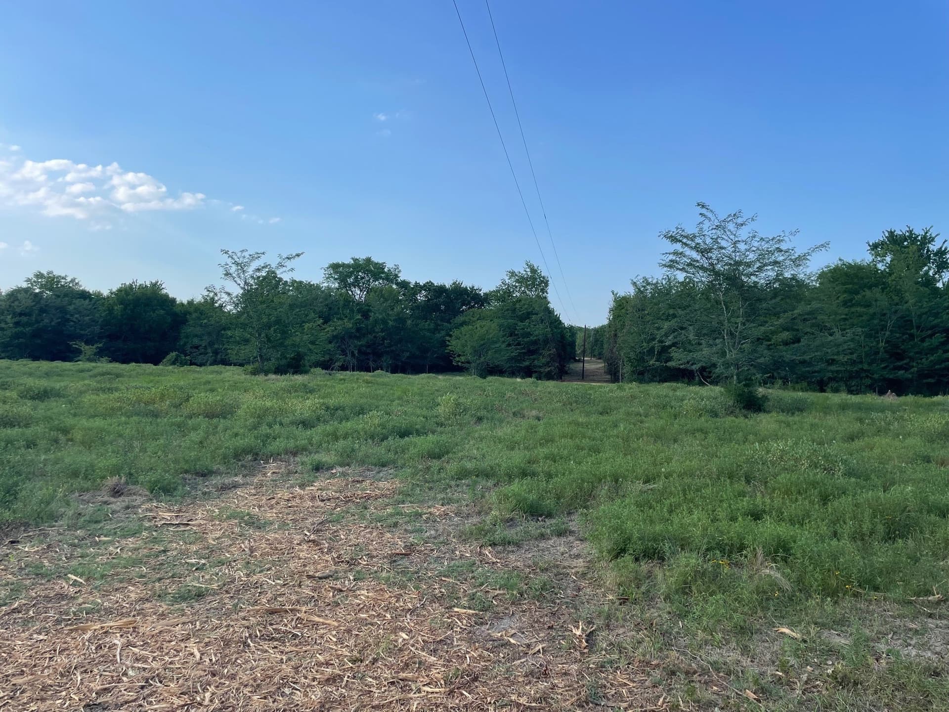 35.13 acres in Fannin County - photo 9