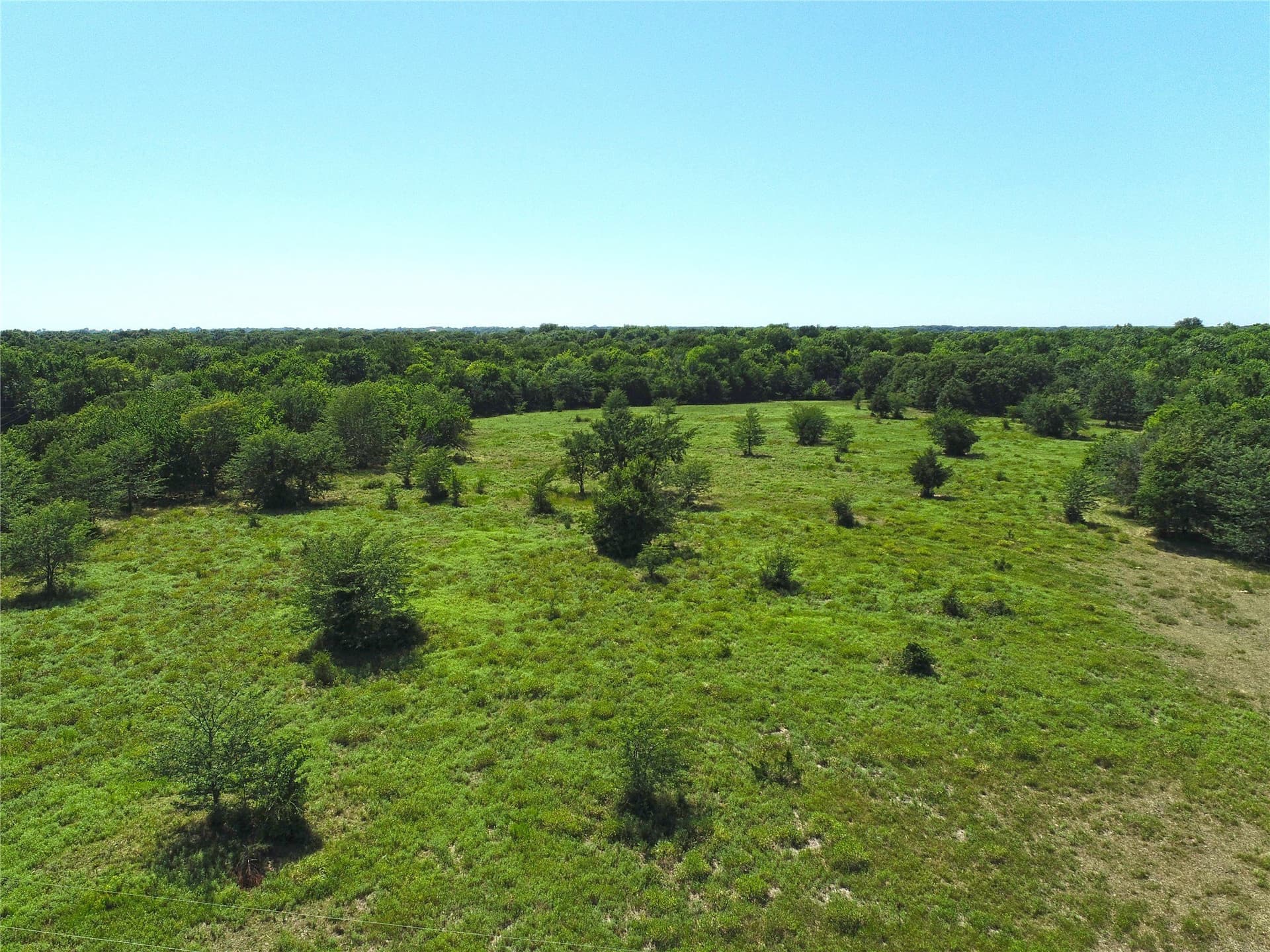 35.13 acres in Fannin County gallery image 4