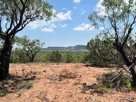 4.33 acres in Taylor County