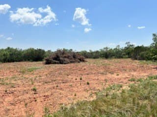 4.33 acres in Taylor County - photo 4