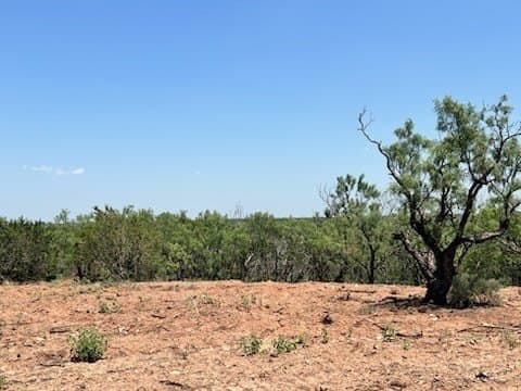 4.33 acres in Taylor County - photo 3
