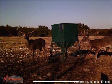 50.84 acres in Sutton County gallery image 2