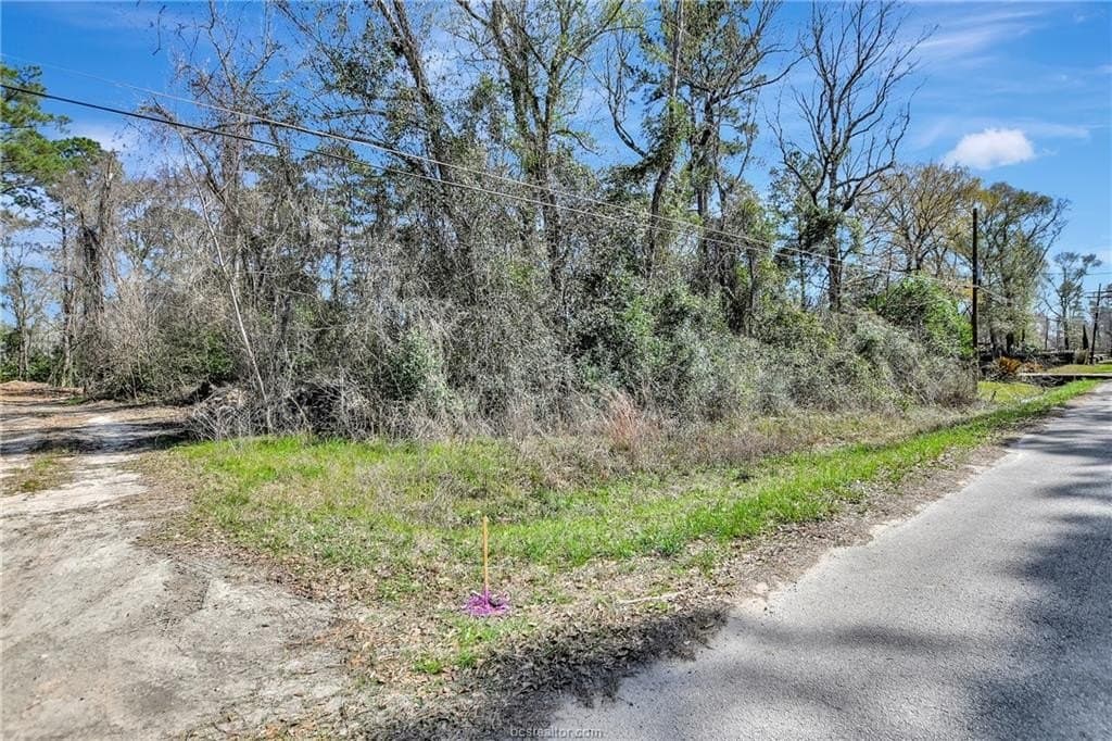 0.52 acres in Montgomery County gallery image 2