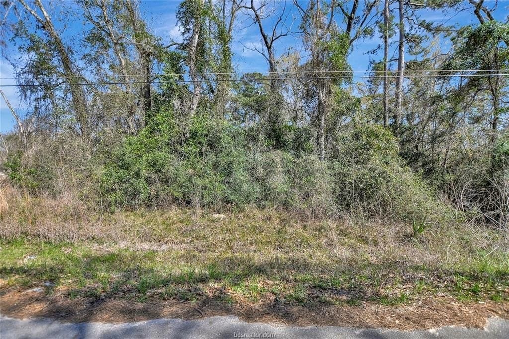 0.52 acres in Montgomery County gallery image 4