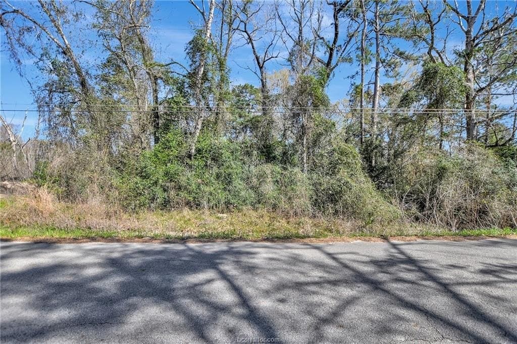 0.52 acres in Montgomery County gallery image 3