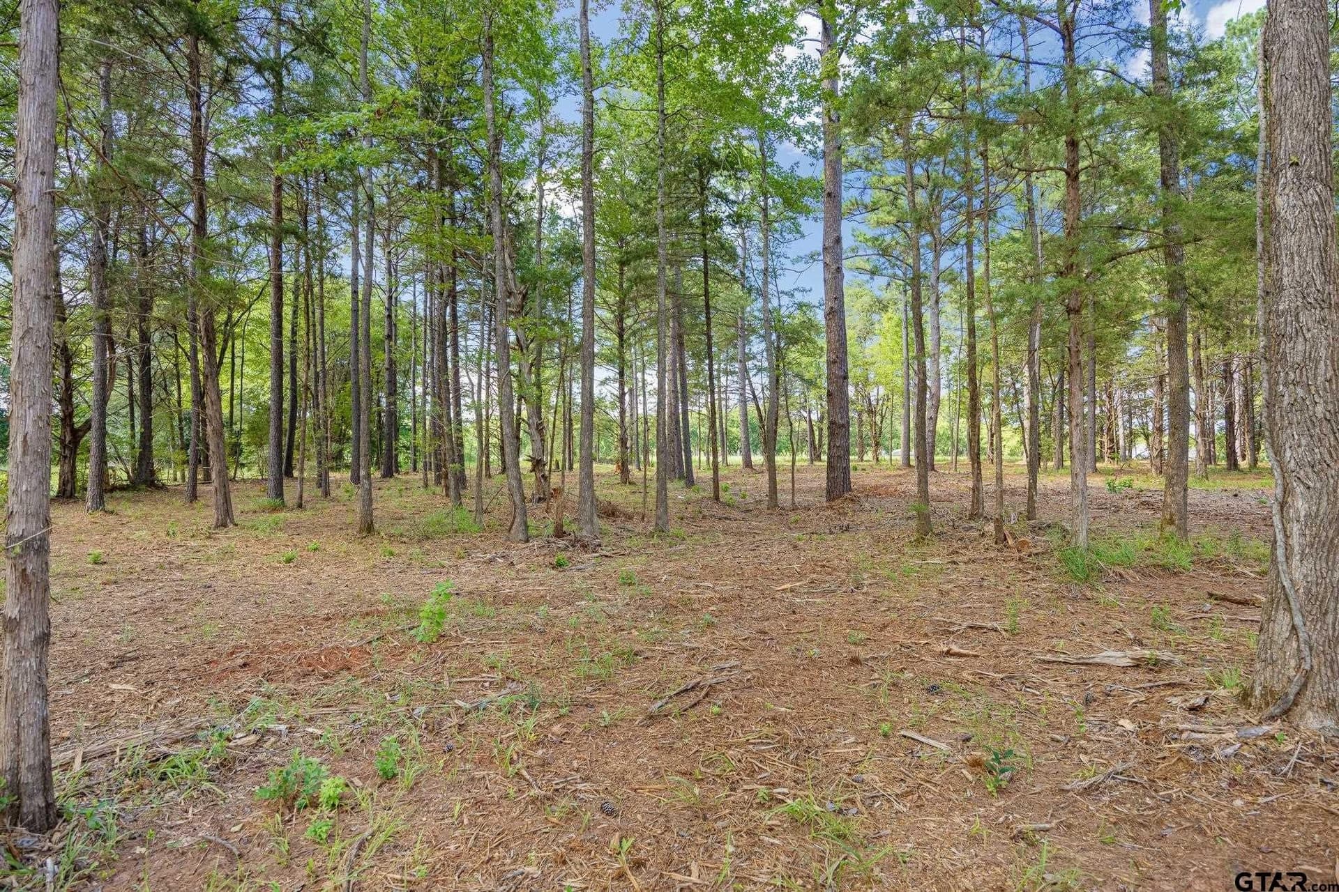 1.54 acres in Anderson County - photo 6