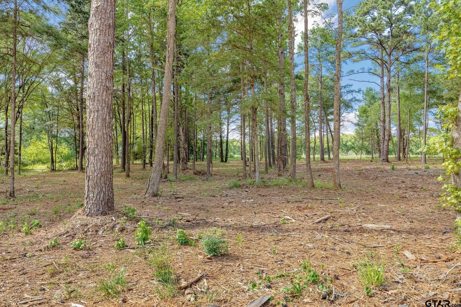 1.54 acres in Anderson County - photo 5