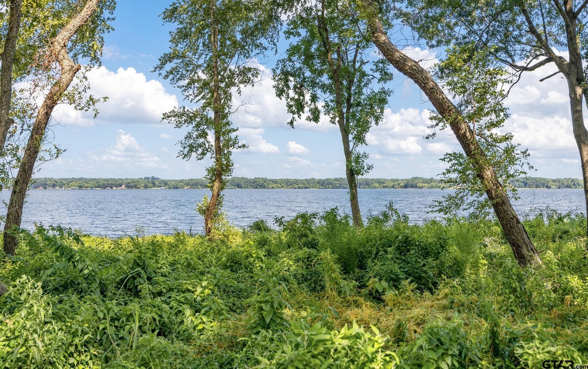 1.54 acres in Anderson County - photo 8
