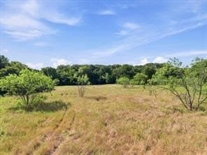 47.96 acres in Van Zandt County - photo 15