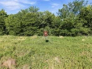 47.96 acres in Van Zandt County - photo 12