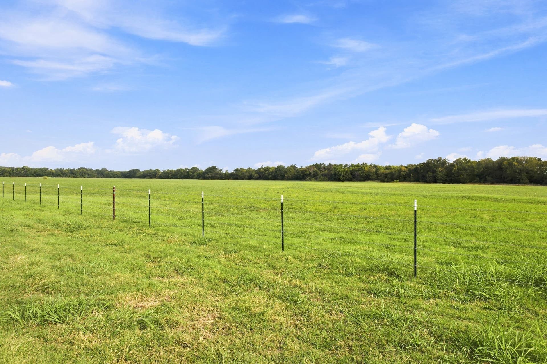 47.96 acres in Van Zandt County - photo 4