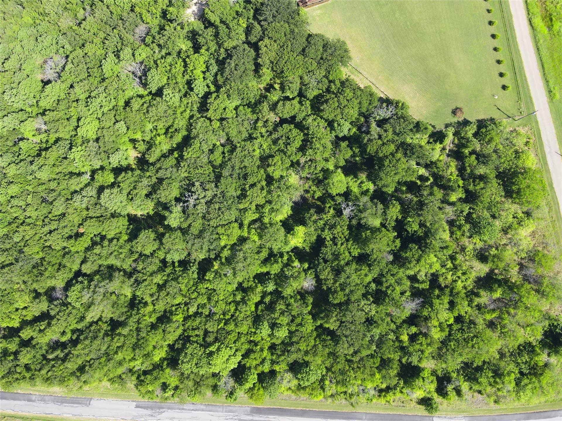 4.44 acres in Navarro County - photo 10