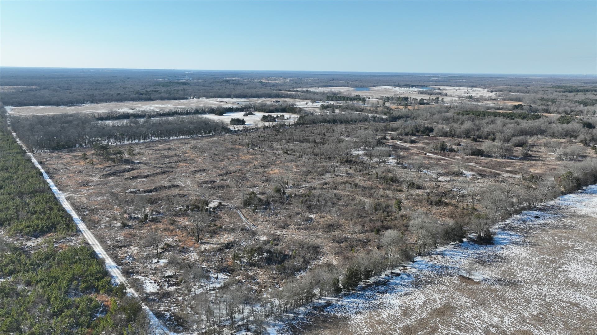 99.55 acres in Red River (TX) County gallery image 3