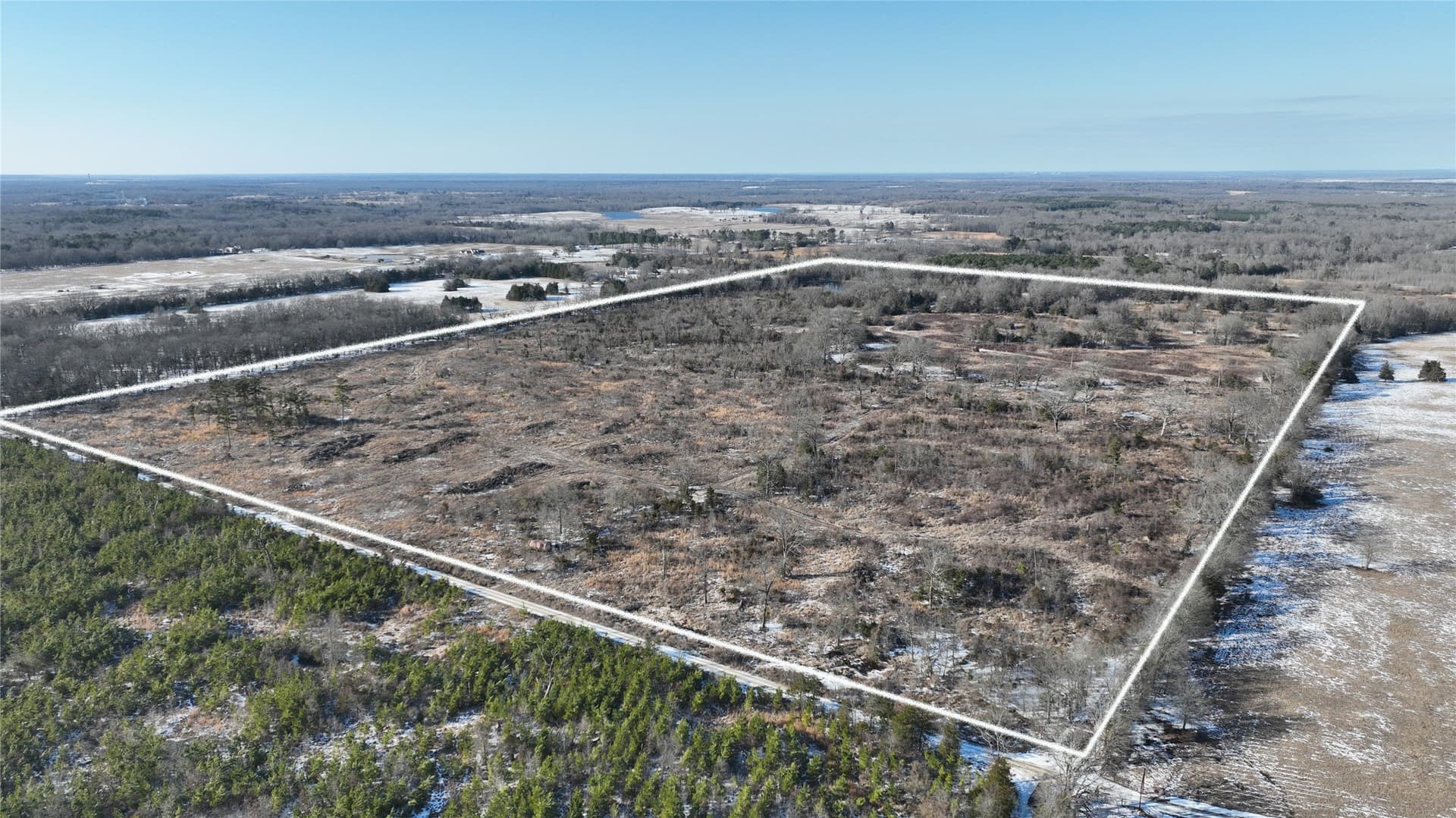 99.55 acres in Red River (TX) County gallery image 4