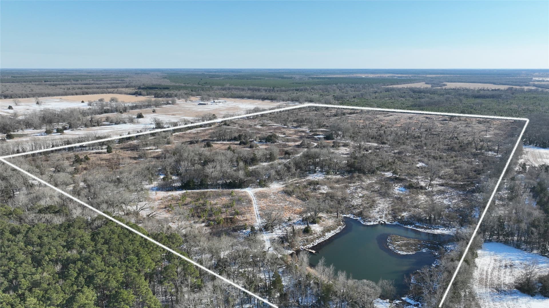 99.55 acres in Red River (TX) County gallery image 2