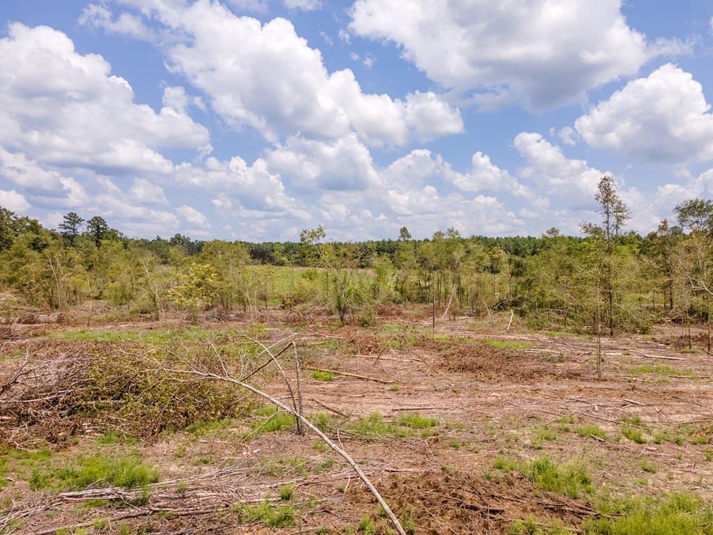 17.36 acres in Texas County - photo 6
