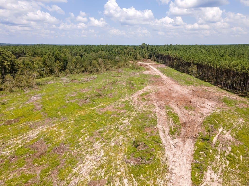 17.36 acres in Texas County - photo 9