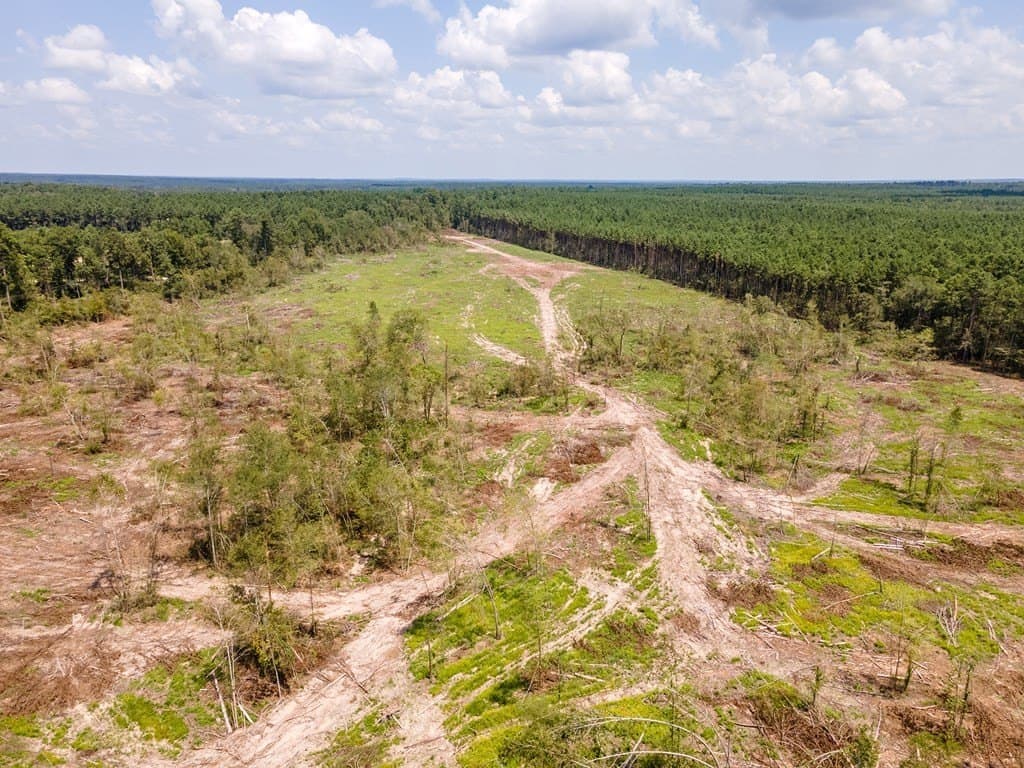 17.36 acres in Texas County - photo 7