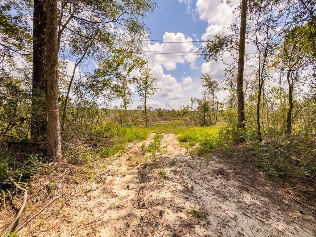 17.36 acres in Texas County - photo 8
