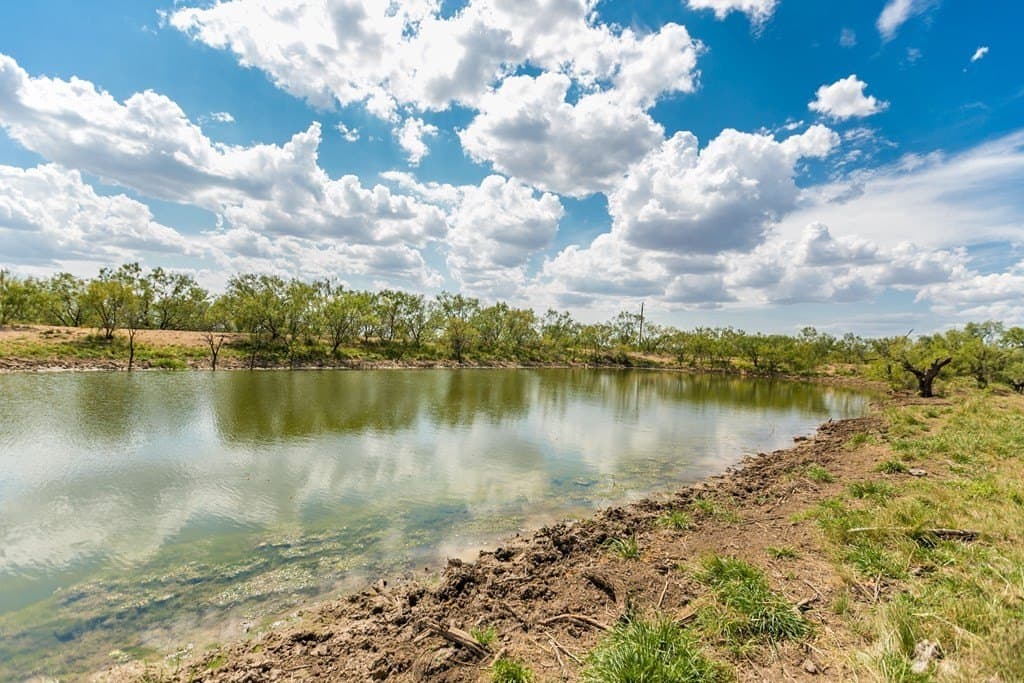 311 acres in Runnels County - photo 8