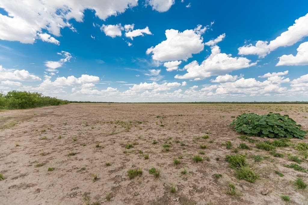 311 acres in Runnels County - photo 33