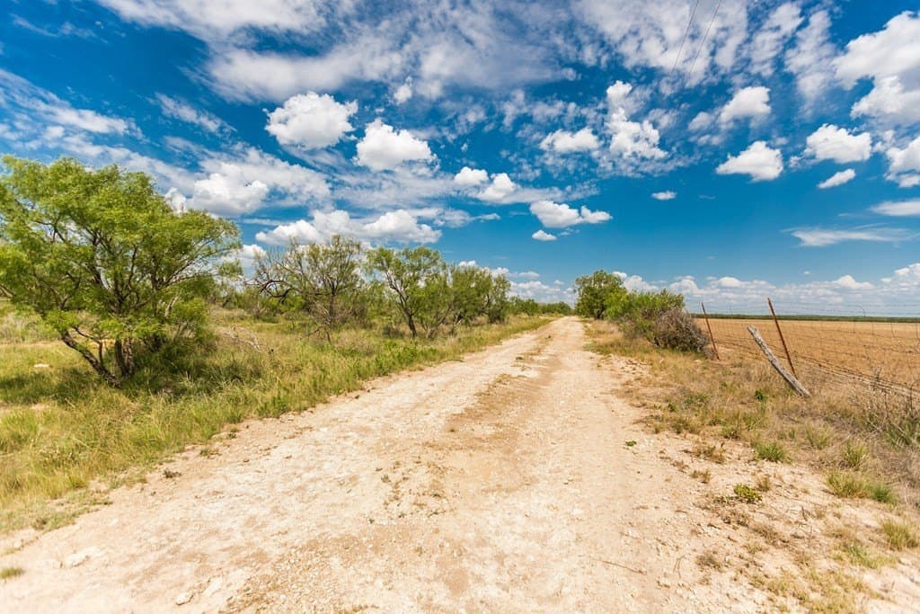 311 acres in Runnels County gallery image 2