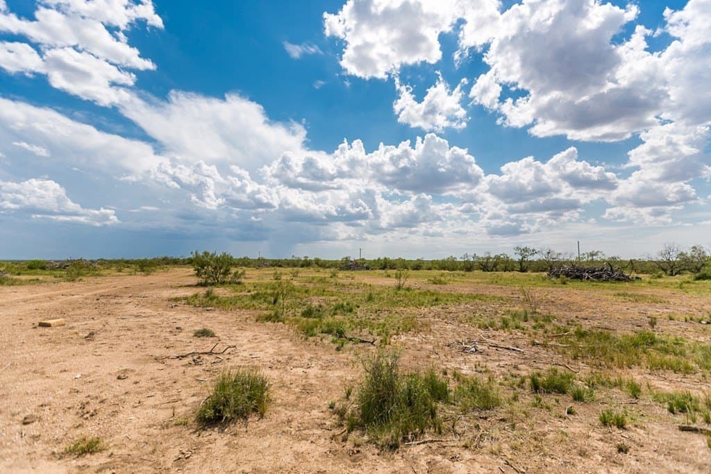 311 acres in Runnels County - photo 15