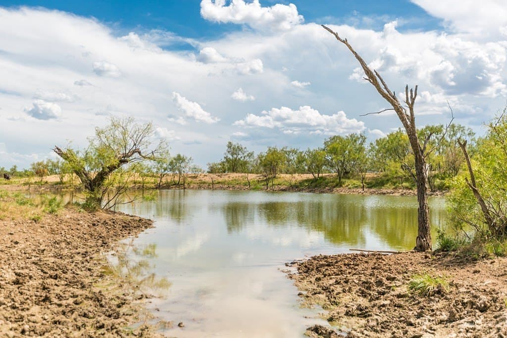 311 acres in Runnels County - photo 13