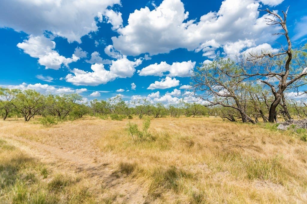 311 acres in Runnels County - photo 45