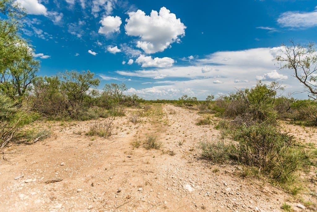 311 acres in Runnels County featured view