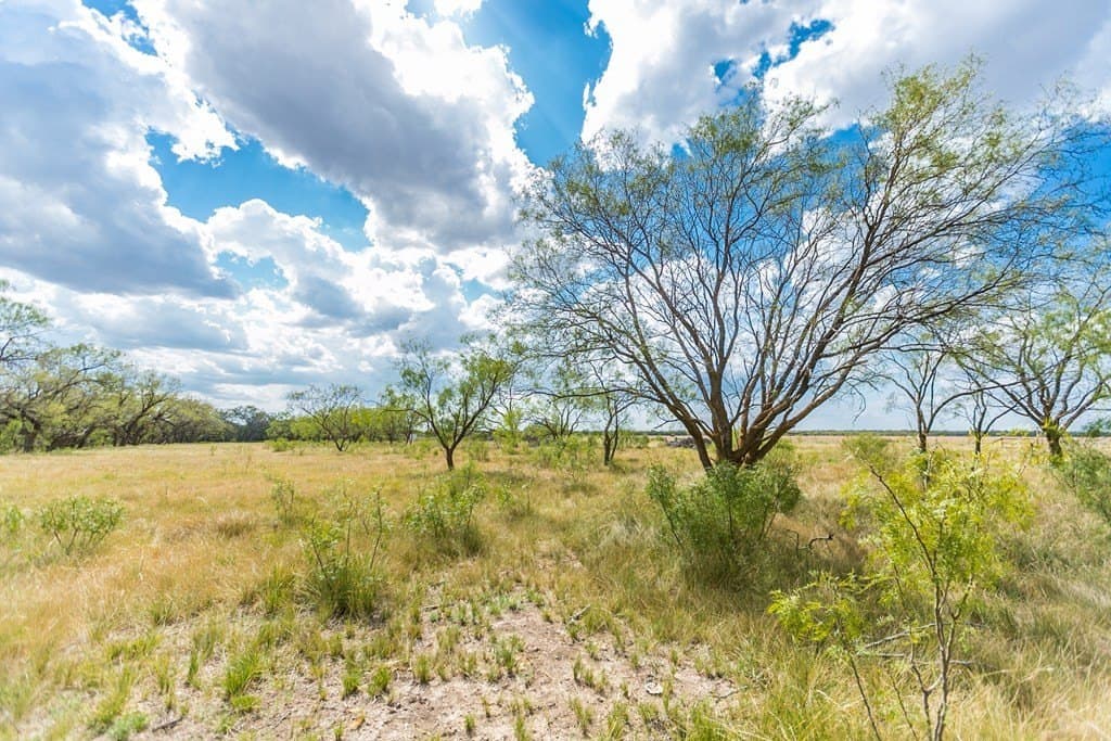 311 acres in Runnels County - photo 43