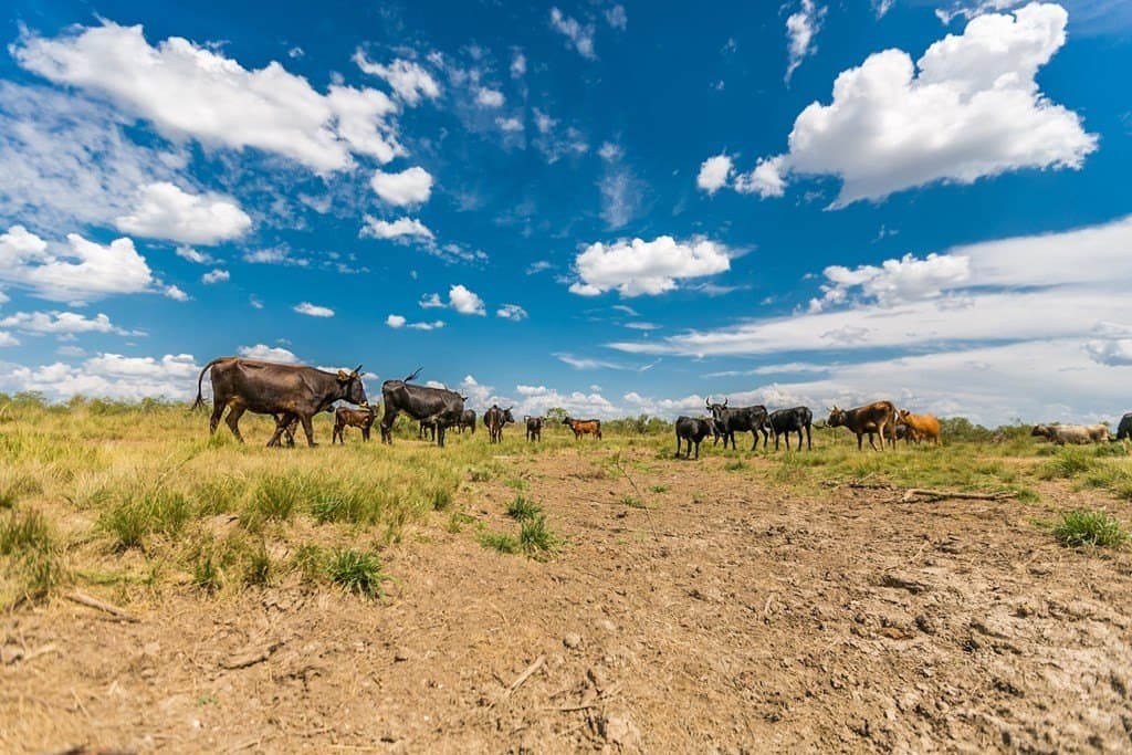 311 acres in Runnels County - photo 11