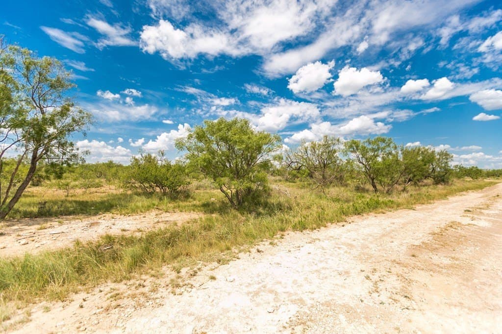 311 acres in Runnels County gallery image 3