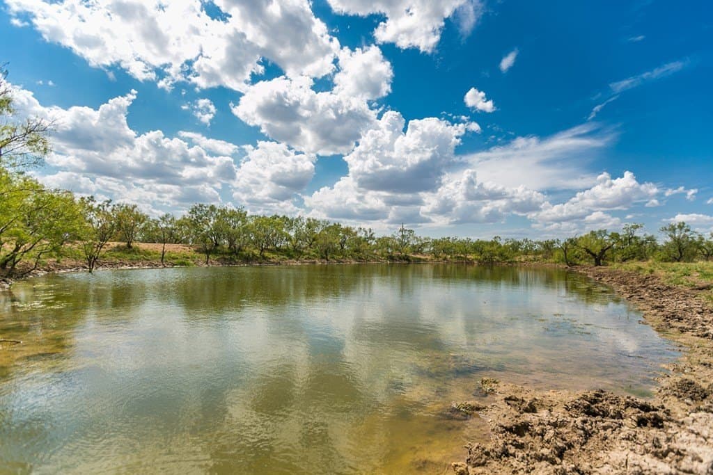 311 acres in Runnels County - photo 9