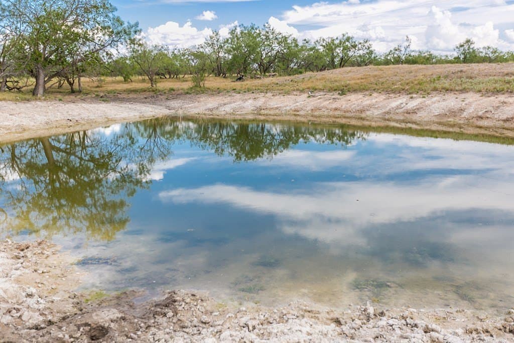 311 acres in Runnels County - photo 38