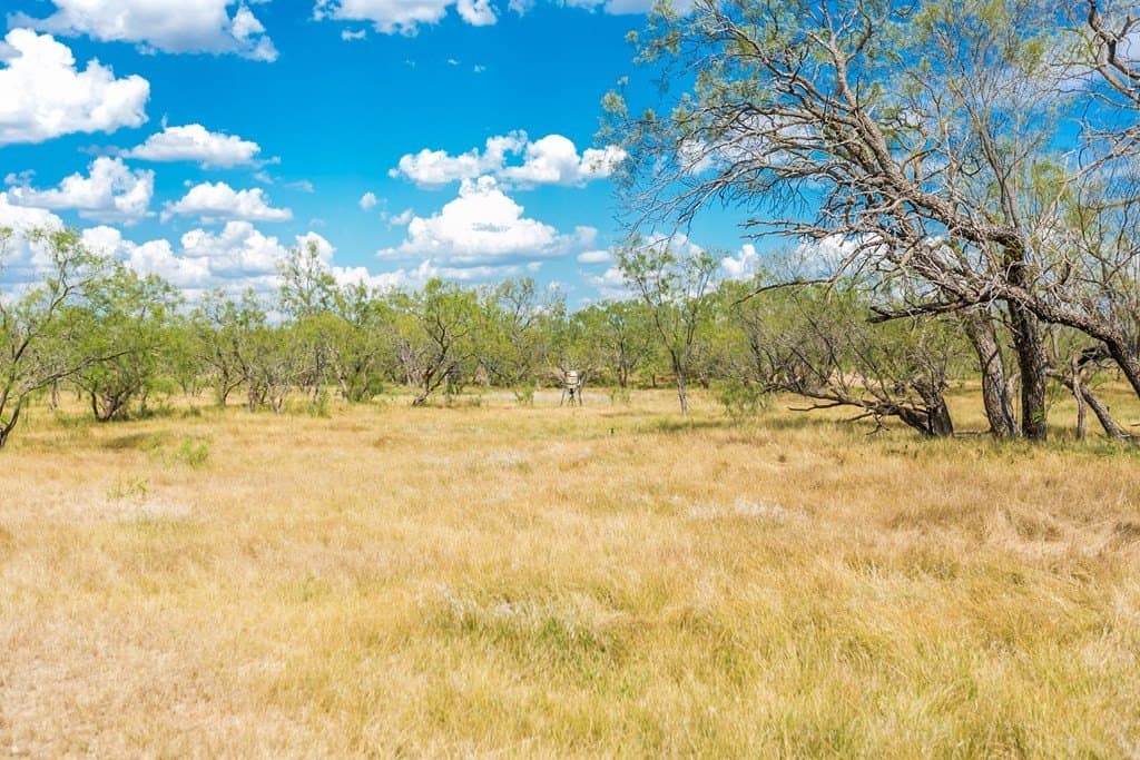 311 acres in Runnels County - photo 47