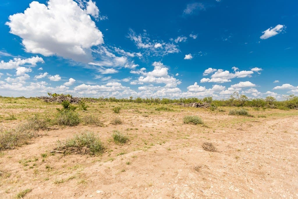 311 acres in Runnels County - photo 21