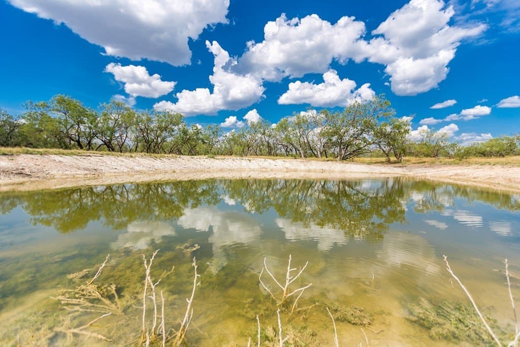 311 acres in Runnels County - photo 40