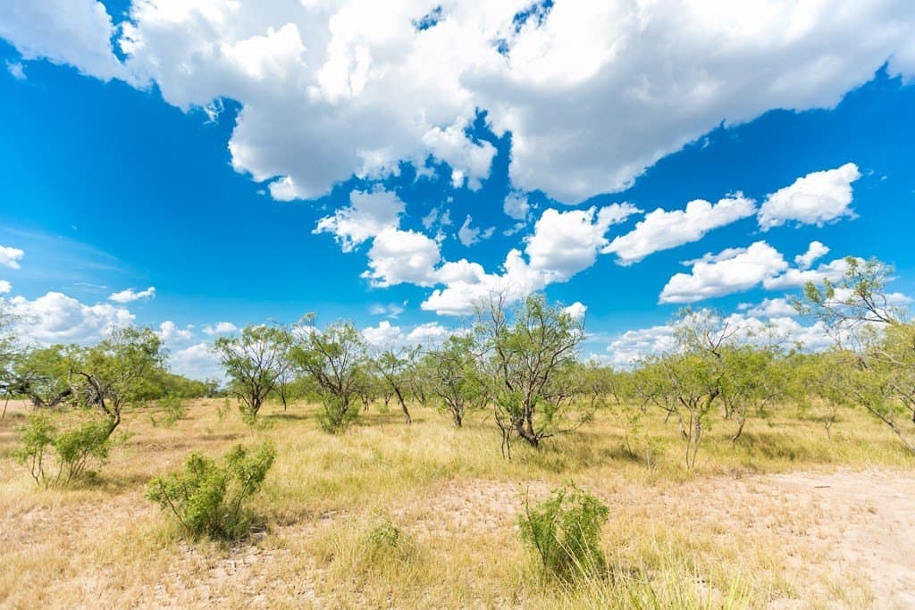 311 acres in Runnels County - photo 49