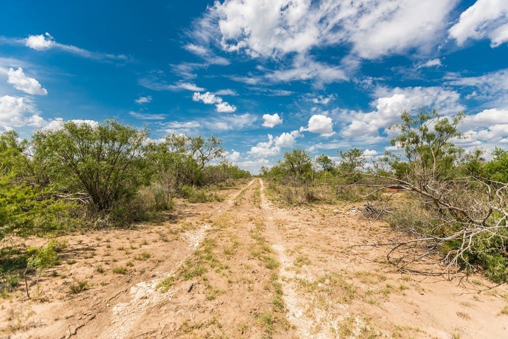 311 acres in Runnels County - photo 6
