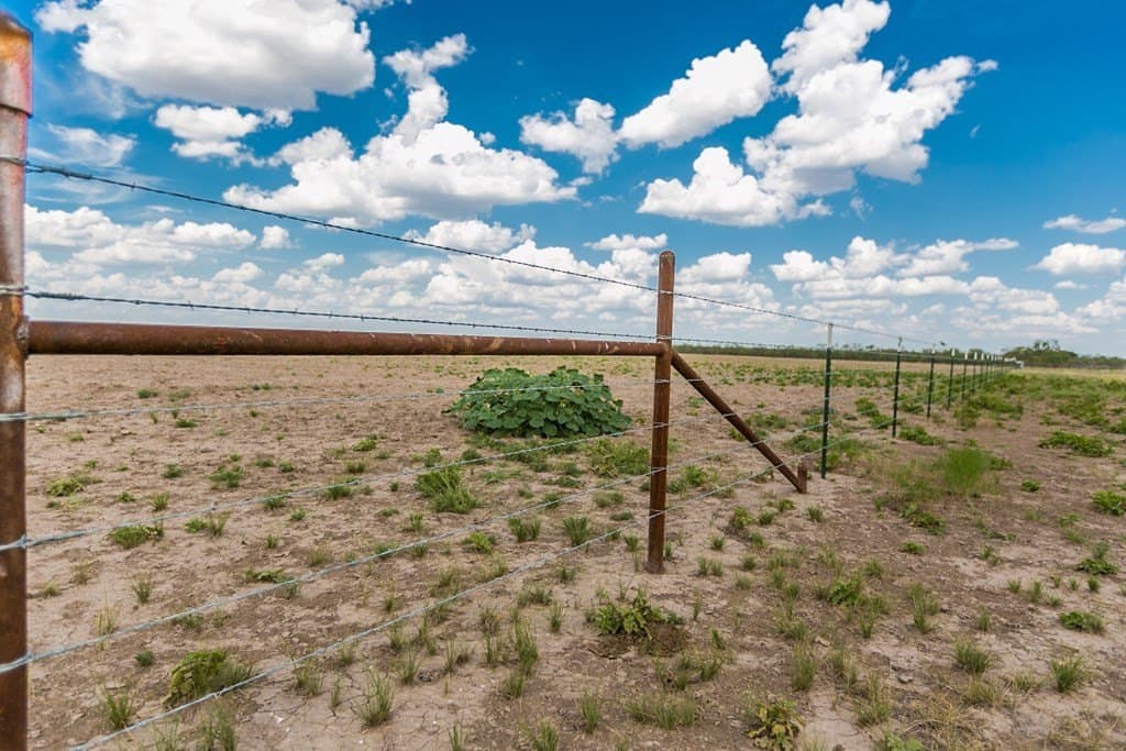 311 acres in Runnels County - photo 31