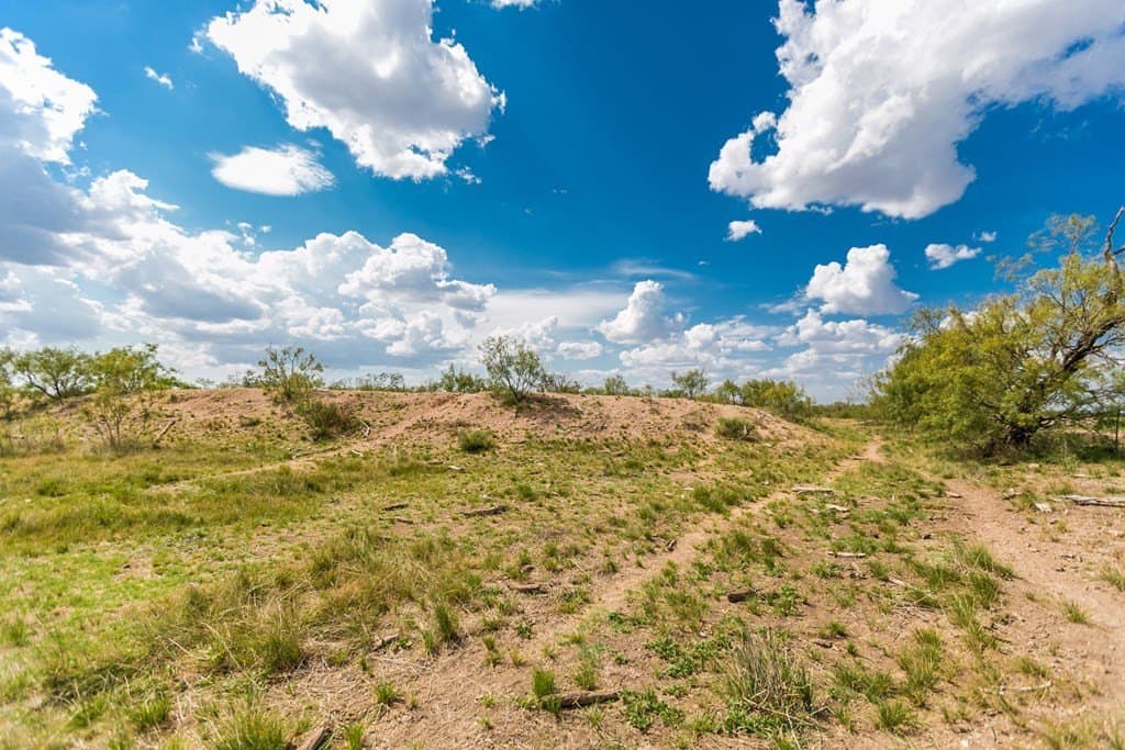 311 acres in Runnels County - photo 26