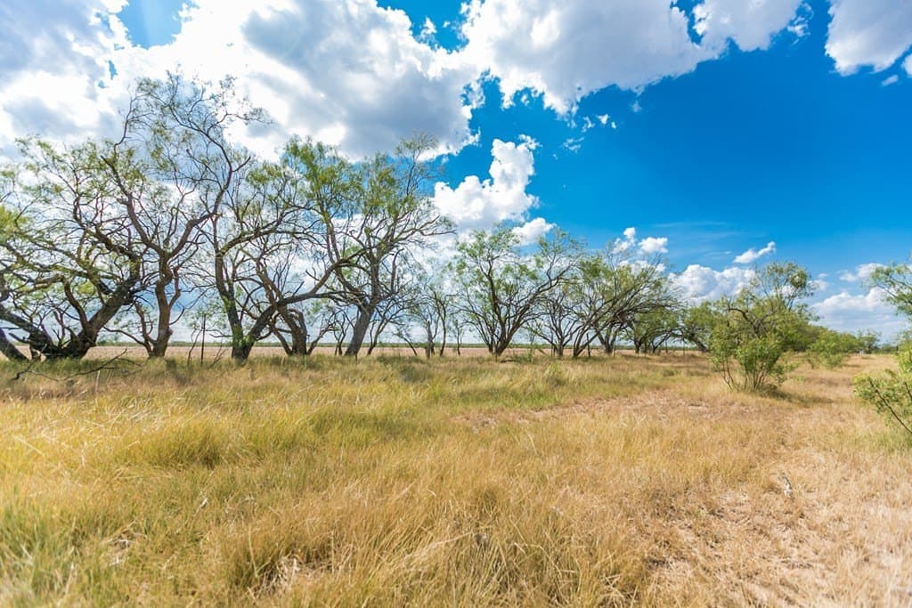 311 acres in Runnels County - photo 50