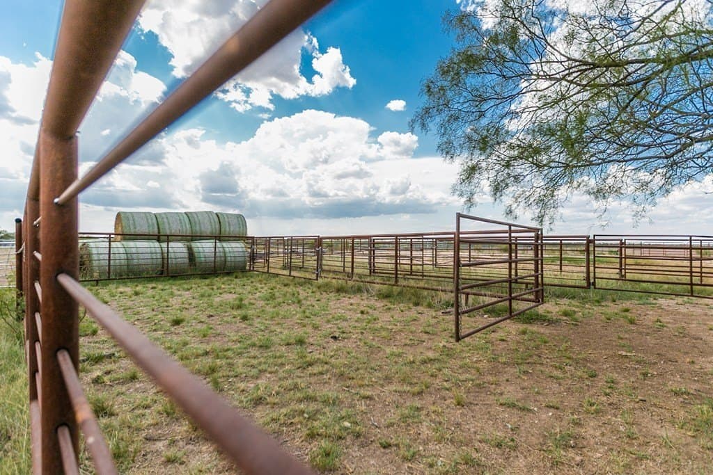311 acres in Runnels County - photo 36