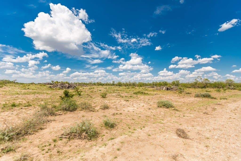 311 acres in Runnels County - photo 20